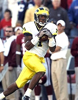 Braylon Edwards (1)