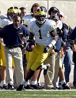 Braylon Edwards (1)