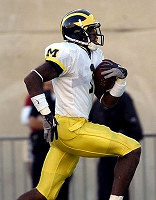 Braylon Edwards (1)