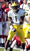 Braylon Edwards (1)