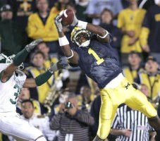 Braylon Edwards (1)