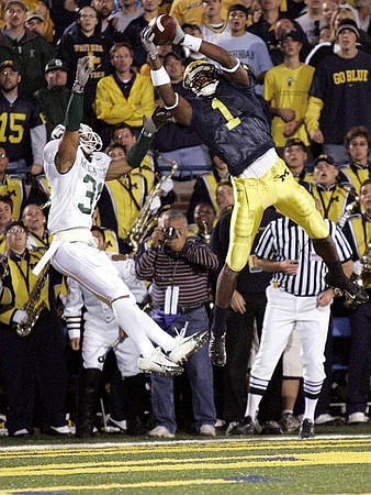Braylon Edwards (1)