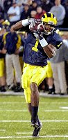 Braylon Edwards (1)