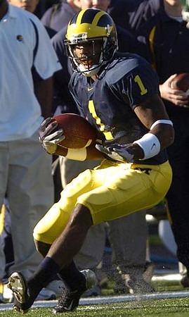 Braylon Edwards (1)