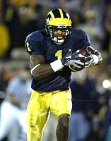 Braylon Edwards (1)