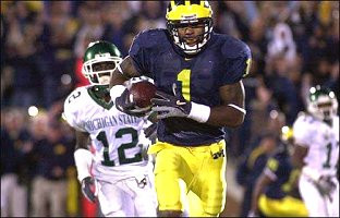 Braylon Edwards (1)