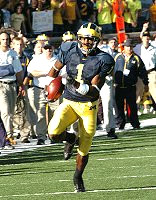 Braylon Edwards (1)