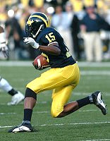 Steve Breaston (15)