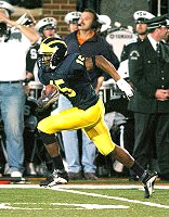 Steve Breaston (15)