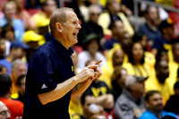 Michigan Team