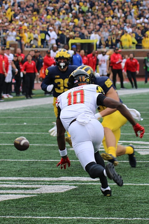 Joe Taylor (39) and Matthew Hibner (88)