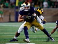 Michigan Player
