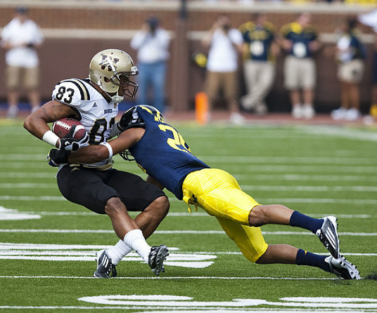 Troy Woolfolk (29)