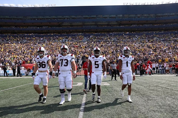 Michigan Stadium