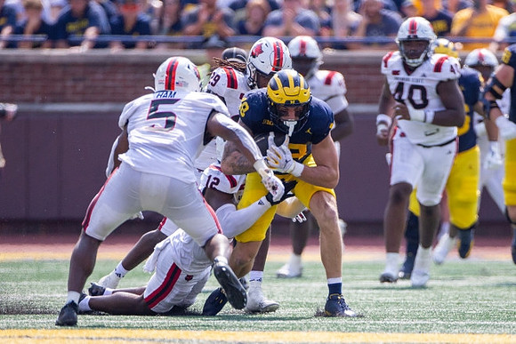 Colston Loveland (18)