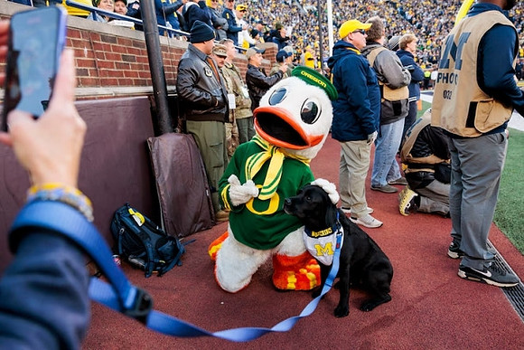 Oregon Mascot