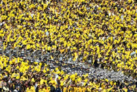 Michigan Stadium