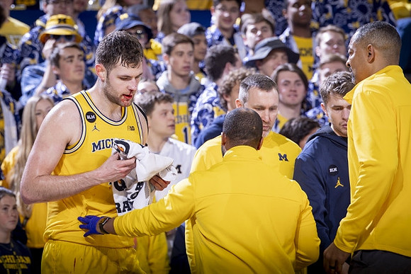 Hunter Dickinson (1) and Michigan Team