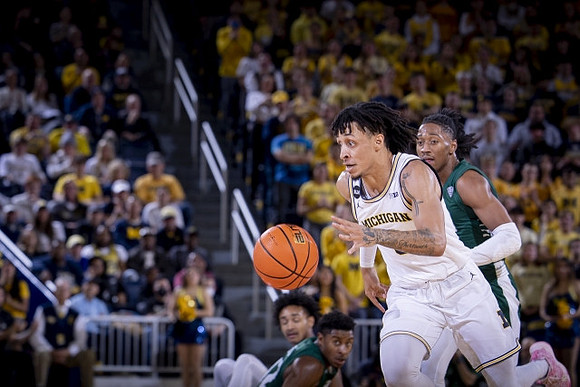 Jaelin Llewellyn (3)