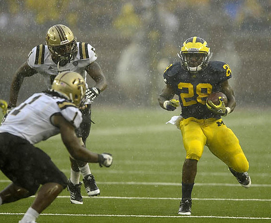 Fitzgerald Toussaint (28)