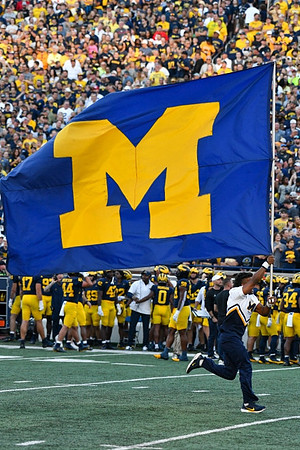 Michigan Team
