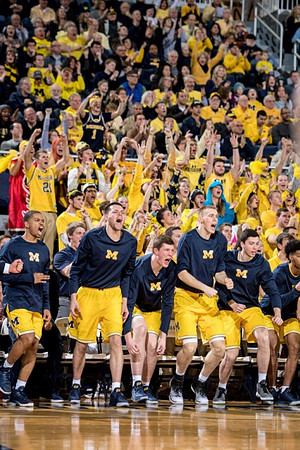 Michigan Team
