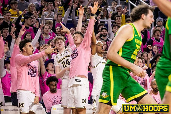 Michigan Team