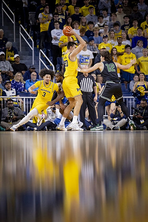 Tre Donaldson (3) and Vladislav Goldin (50)