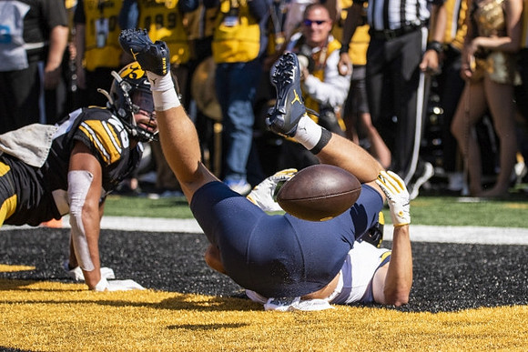 Michigan Player