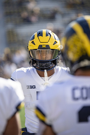 Michigan Player